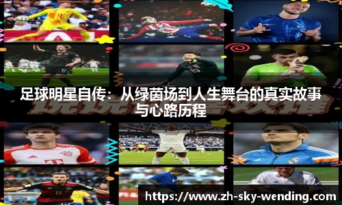 足球明星自传：从绿茵场到人生舞台的真实故事与心路历程